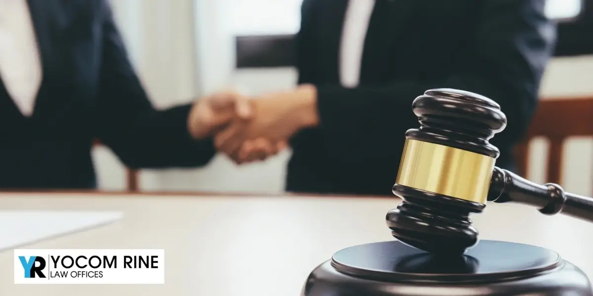 Fairview TX Business Appeals Lawyer